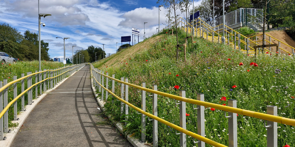 Derriaghy Railway Platform DDA GRP Handrail